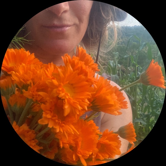 calendulaqueen